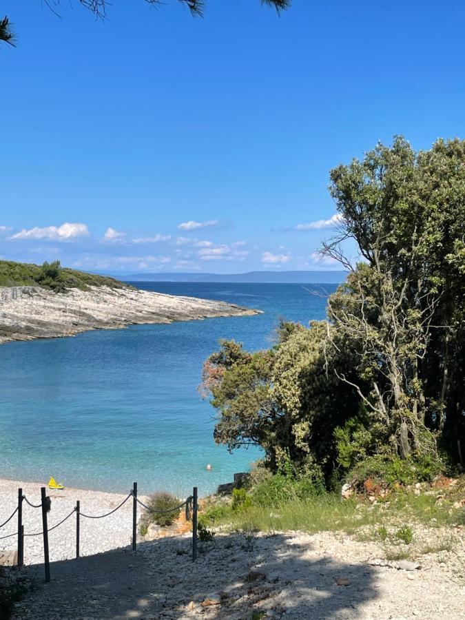 Moderne Istrische Steinvilla - 4 Sterne Mit Privatem, Beheizbaren Pool & Meerblick Kavran Экстерьер фото